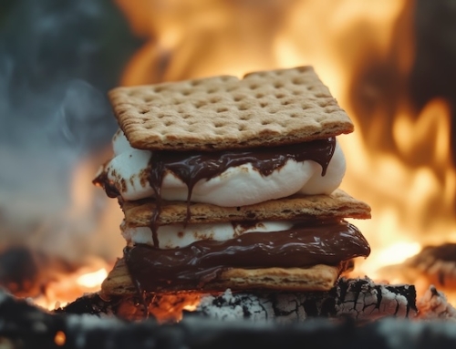 Crazy Fun of Family Vacation Continues – Adding S’Mores!