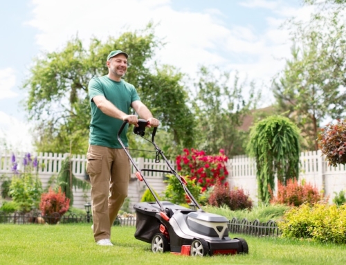 The Best Ways a High D-Style Person Can Do Self-Renewal