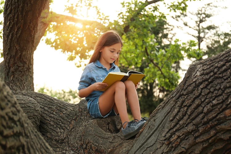 Girl is sitting in a tree reading a book.